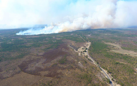 Свежие новости: Масштабный пожар из Беларуси надвигается в Украину