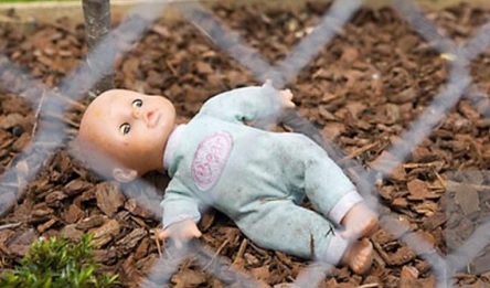 Свежие новости: Закопали заживо: Во Львовской области две сотрудницы Госпогранслужбы убили новорожденного ребенка