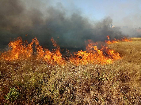 Свежие новости: Возле Коблево спасатели ликвидировали масштабный пожар на открытой территории