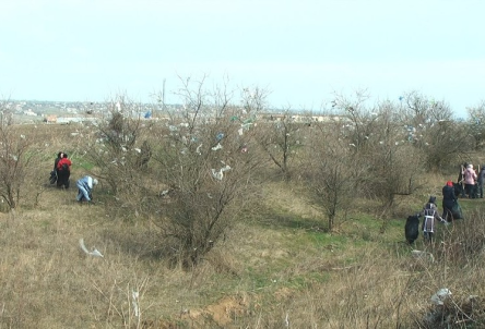 Свежие новости: ВИДЕО: Под Николаевом волонтеры и местные жители собирали мусор, который разнесло штормовым ветром с полигона ТБО