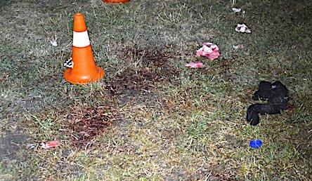 Свежие новости: Перестрелка в центре Николаева: новые подробности