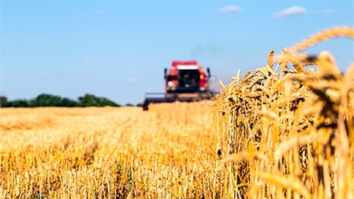 Свежие новости: Президент Владимир Зеленский одобрил создание Аграрного реестра в Украине