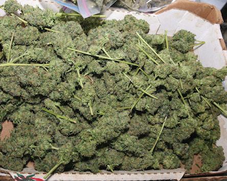 Свежие новости: В Первомайске капитан полиции покупал и продавал наркотики - суд дал ему условный срок