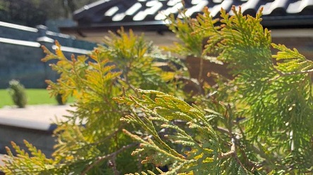 Фото новости: В четверг на западе Украины солнце и +19, а на севере пройдут дожди Свежие новости: В четверг на западе Украины солнце и +19, а на севере пройдут дожди