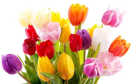 Свежие новости: Вознесенськ запрошує на свято 8 березня