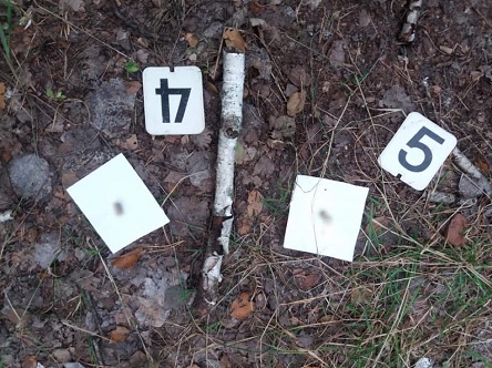 Свежие новости: План по убийствам разработали и привели в исполнение: Николаев криминальный