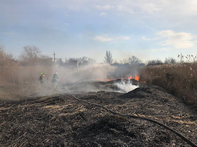 Свежие новости: В Николаевской области дважды ликвидировали пожар камыша