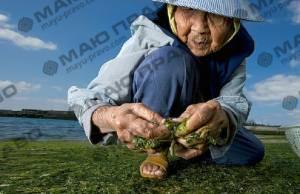 Свежие новости: Житель Индонезии, 145-летний мужчина признался, что очень хочет умереть