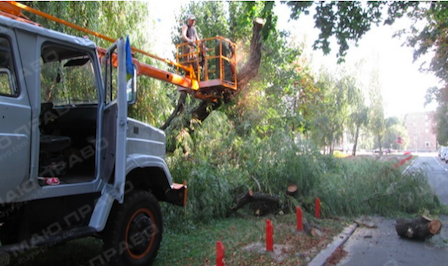 Свежие новости: Порядок видалення зелених насаджень у місті Южноукраїнську