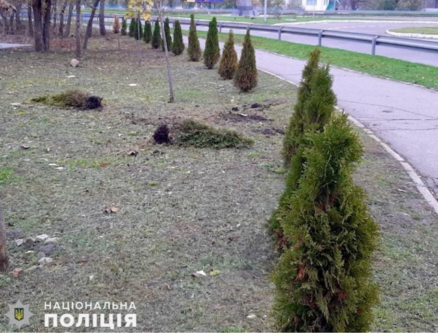 Свежие новости: У Первомайську підлітки виривали з корінням туї