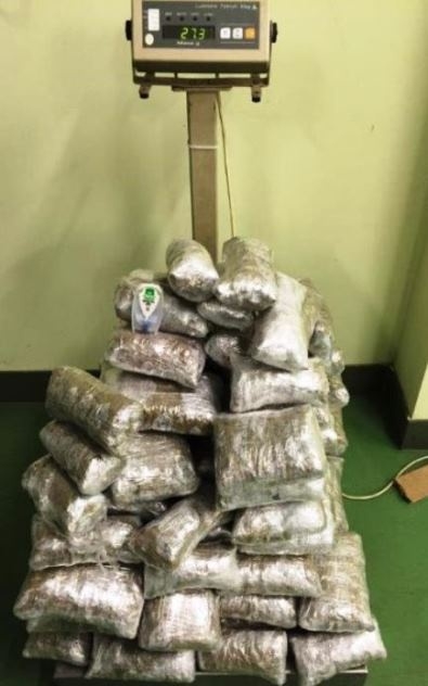 Свежие новости: В Польше украинец  пытался провести через границу 27 килограммов марихуаны