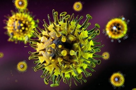 Свежие новости: Все ближе. Смертельный китайский вирус уже в Беларуси