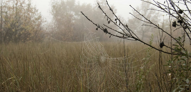 Свежие новости: В Украину идет холодный атмосферный фронт – синоптик