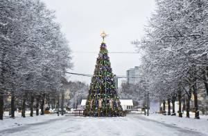 Свежие новости: В Южноукраинске установили большую новогоднюю елку