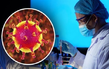 Фото новости: В Офисе Президента дали видео-советы для людей с подозрением на ОРВИ или коронавирус Свежие новости: В Офисе Президента дали видео-советы для людей с подозрением на ОРВИ или коронавирус