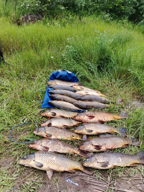 Свежие новости: На Миколаївщині затримали підводних мисливців із 61 кг незаконно добутої риби