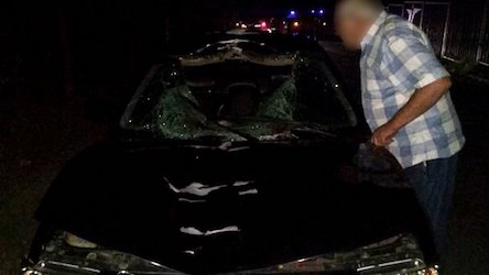 Свежие новости: Смертельное ДТП в Харькове: водитель сбил насмерть мужчину и убежал