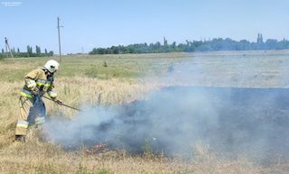 Свежие новости: Через обстріли на Миколаївщині горіли суха трава та чагарники