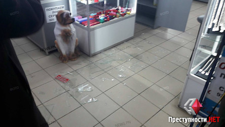 Свежие новости: Полиция объявила план «Перехват», чтобы найти грабителей ювелирного магазина в Николаеве