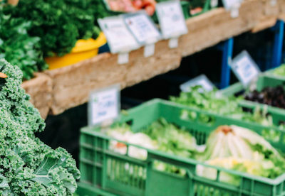 Свежие новости: В Николаевской области снизились цены на потребительские товары