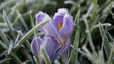 Свежие новости: Украину ночью приморозит, но дальше снова будет тепло