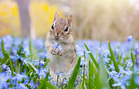 Свежие новости: Завтра в  Украине без осадков, температура до +12