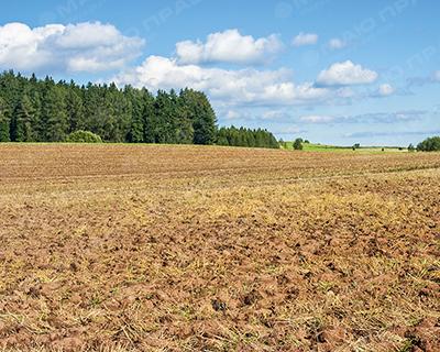 Свежие новости: Прокуратура требует от вознесенского арендатора возврата 14 га сельхозугодий в государственную собственность