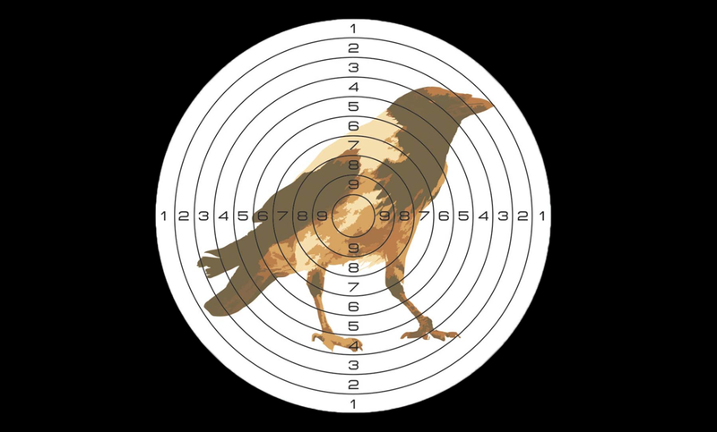 Свежие новости: Юрий Токар устроил стрельбу по птицам из окна здания управления ГФС в Николаевской области
