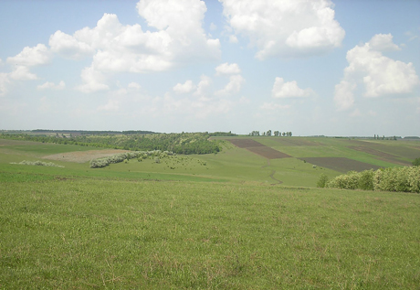 Свежие новости: На Николаевщине прокуратура судится с фермером, который незаконно получил право пользоваться 6 гектарами земли