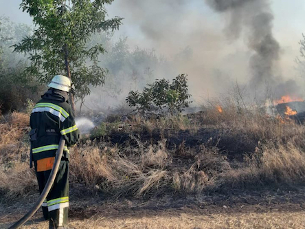 Свежие новости: На Миколаївщині вогнеборці загасили 7 пожеж на відкритих територіях площею понад 2 га