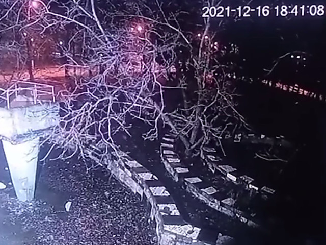 Свежие новости: Полицейские Херсона за подрыв гранаты в парке задержали двух жителей Николаевщины