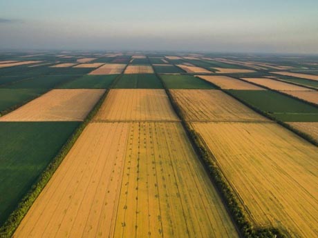 Свежие новости: В СМИ опубликованы 7 схем использования госземель агрокомпаниями в условиях 