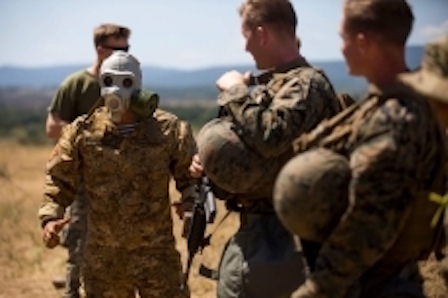 Свежие новости: Николаевские «черные береты» приняли участие в многонациональных учениях «Платинум Лайон»