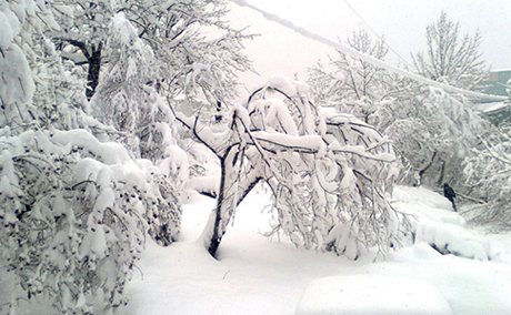 Свежие новости: Украину накроет снегом, на дорогах гололедица