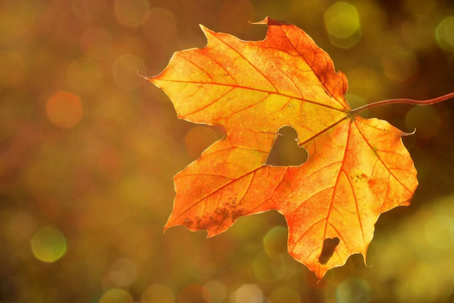 Свежие новости: В Украине завтра резко похолодает