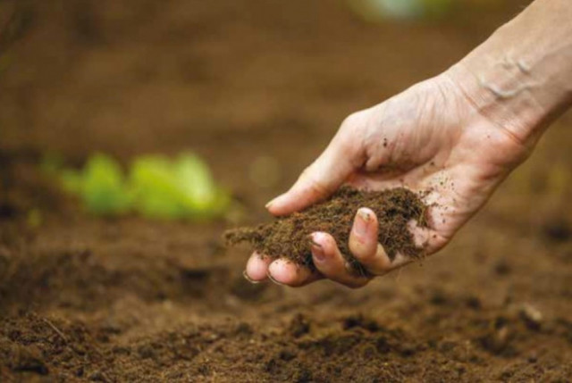 Свежие новости: Сегодня в Украине открывается рынок земли