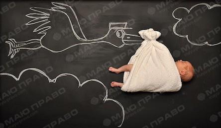 Свежие новости: За прошедшую неделю аист принес в Николаев 78 малышей