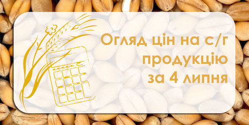 Свежие новости: У порту Миколаївської області зросла вартість соняшнику — огляд цін на с/г продукцію за 4 липня