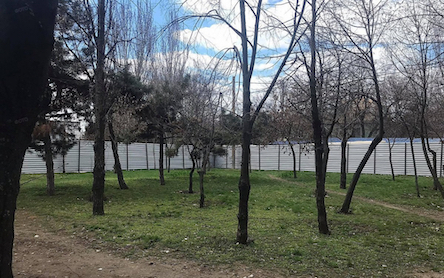 Свежие новости: В Николаеве фирма депутата Николаевского райсовета и жены экс-главы Очаковской РГА застраивает зеленую зону