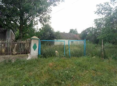 Свежие новости: В Вознесенском районе полицейские задержали мужчину, который тяжело ранил своего соседа