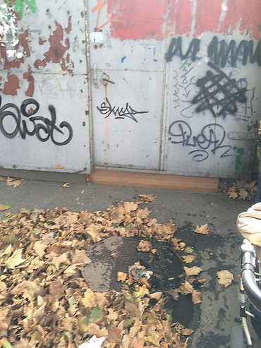 Фото новости: В Николаеве певица с ребенком на руках провалилась в присыпанный листьями люк – ее спасли прохожие Свежие новости: В Николаеве певица с ребенком на руках провалилась в присыпанный листьями люк – ее спасли прохожие