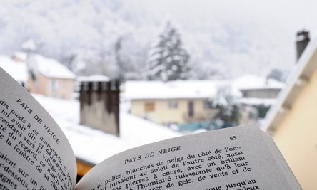 Свежие новости: Праздники 17 ноября. Сегодня отмечают студенты и работники сельского хозяйства