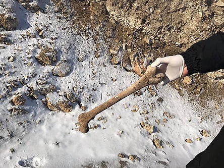 Свежие новости: Во время строительства на берегу Ингула в Николаеве обнаружили человеческие останки