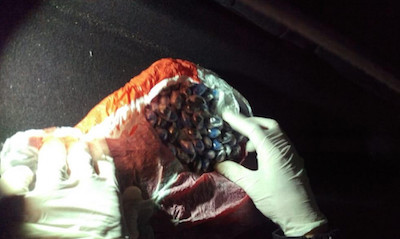 Свежие новости: В Одесской области задержали мужчину с почти сотней доз метадона