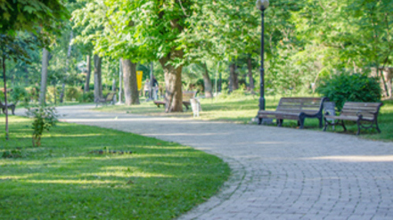 Свежие новости: Департамент ЖКХ потратит ₴7,7 млн на уход за скверами в Николаеве