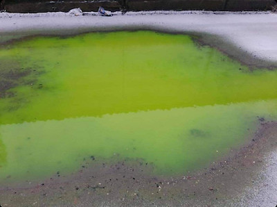 Свежие новости: В Николаеве жители обеспокоились из-за воды необычного цвета