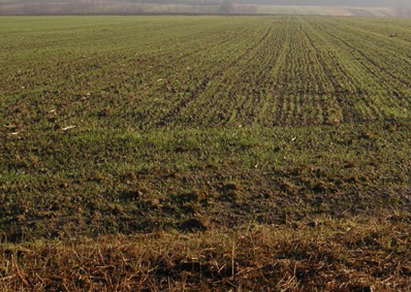 Свежие новости: На Николаевщине в госсобственность вернули землю стоимостью 1,3 млн грн