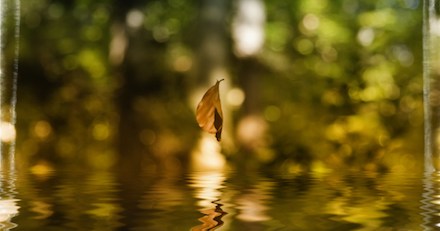 Свежие новости: Украину накроют грозы и похолодание