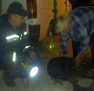 Свежие новости: На Николаевщине в 4-метровый колодец провалился стаффордширский терьер