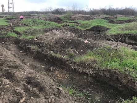 Свежие новости: «Черные археологи» начали раскопки памятника национального значения в Николаеве